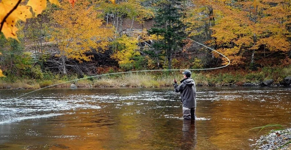 How to Choose and Fish Your Flies